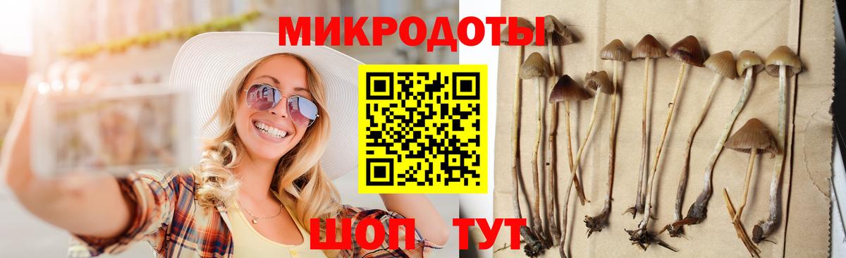 Галлюциногенные грибы GOLDEN TEACHER Ишимбай